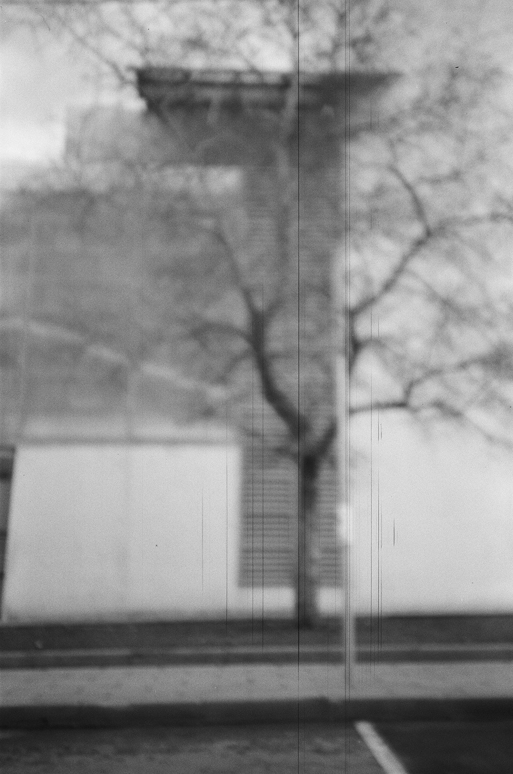 RANDOM. Nik Paustovskiy photography