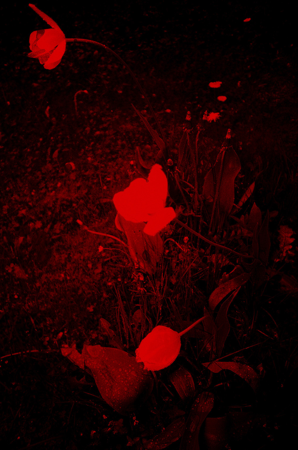 RANDOM. Nik Paustovskiy photography