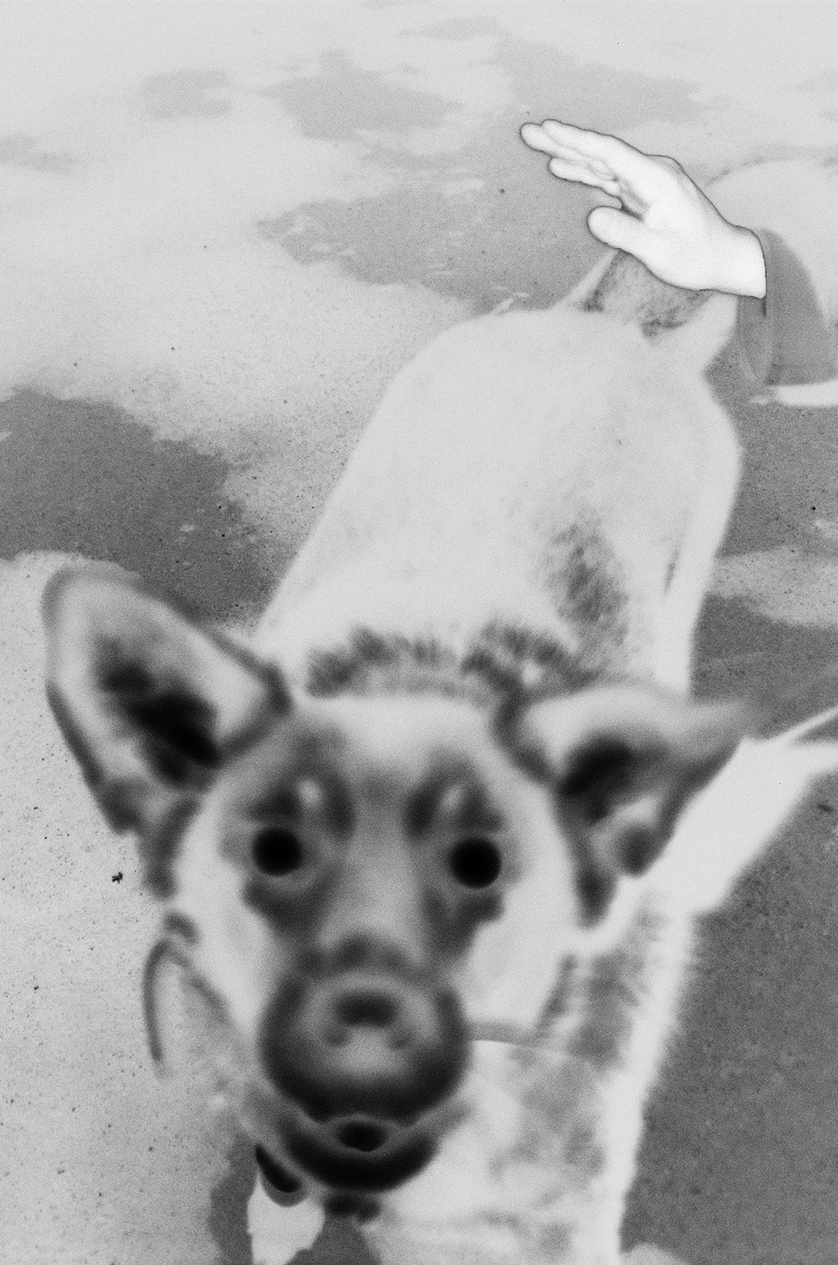 'INVERTED CITY'. Nik Paustovskiy photography