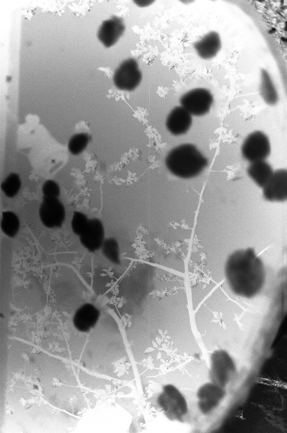 'INVERTED CITY'. Nik Paustovskiy photography