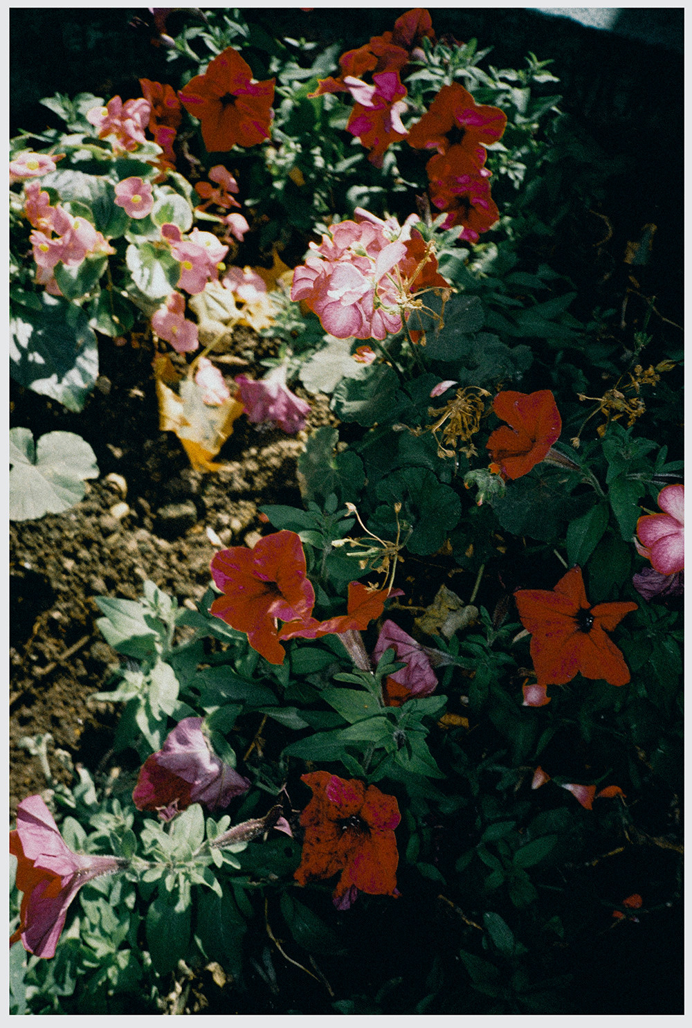 RANDOM. Nik Paustovskiy photography