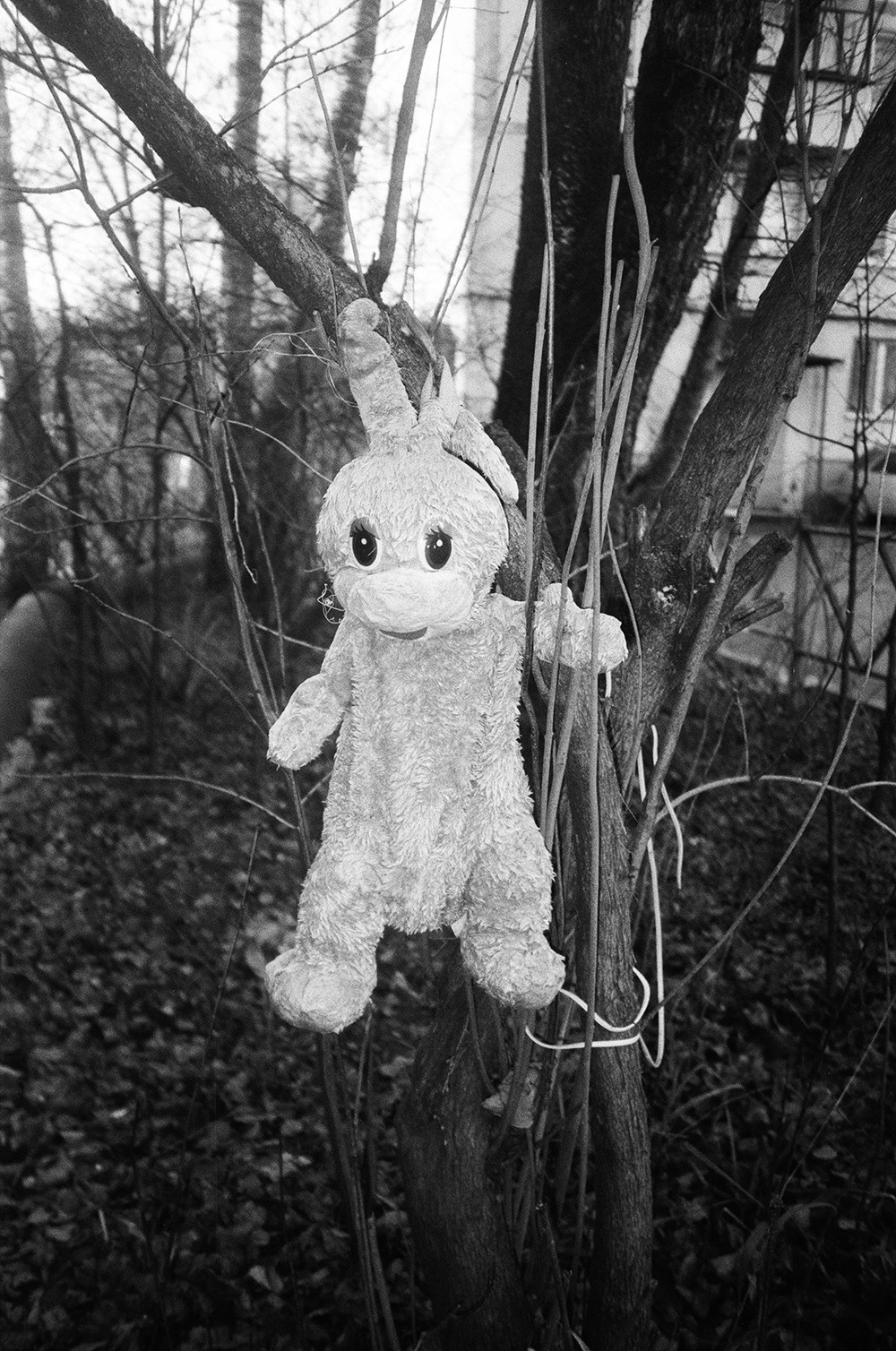 RANDOM. Nik Paustovskiy photography