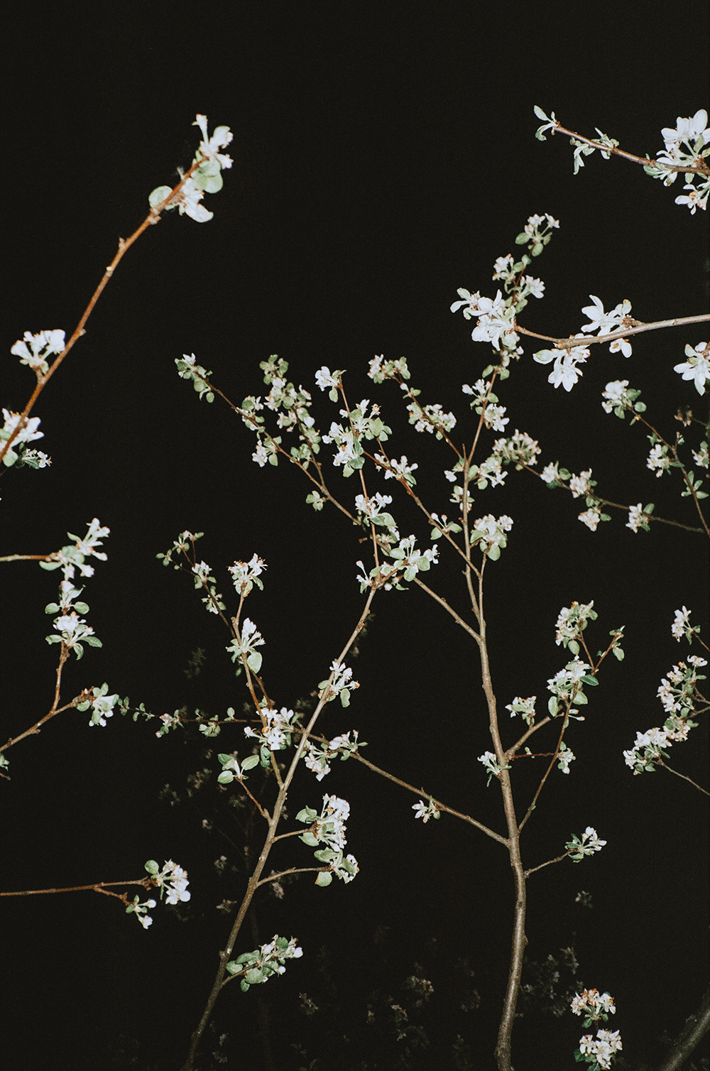 RANDOM. Nik Paustovskiy photography