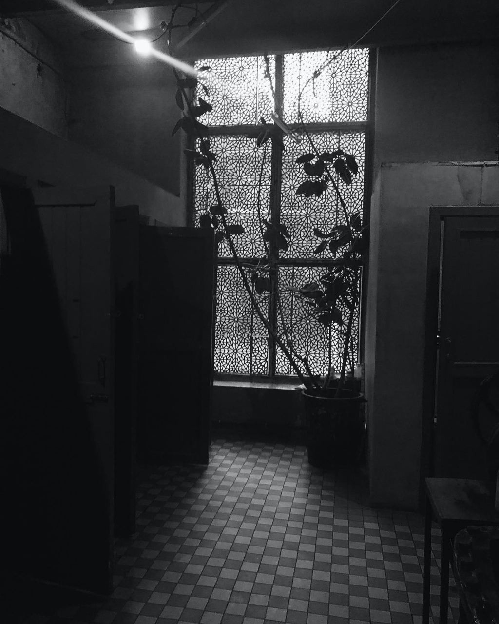 RANDOM. Nik Paustovskiy photography