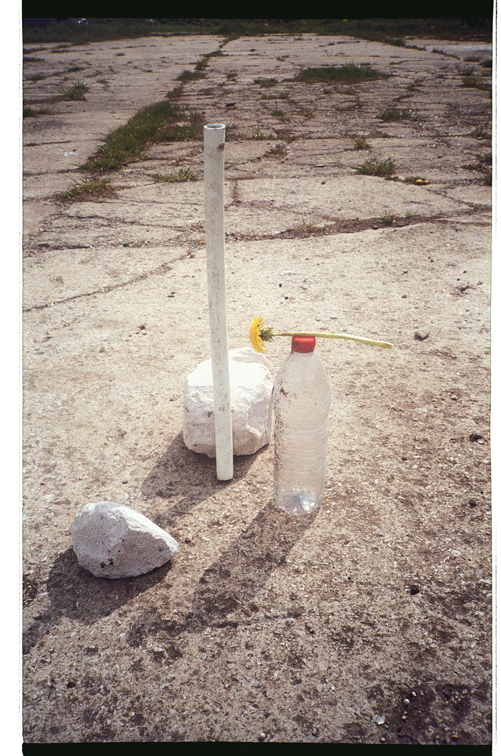 STILL LIFE' series. Nik Paustovskiy photography