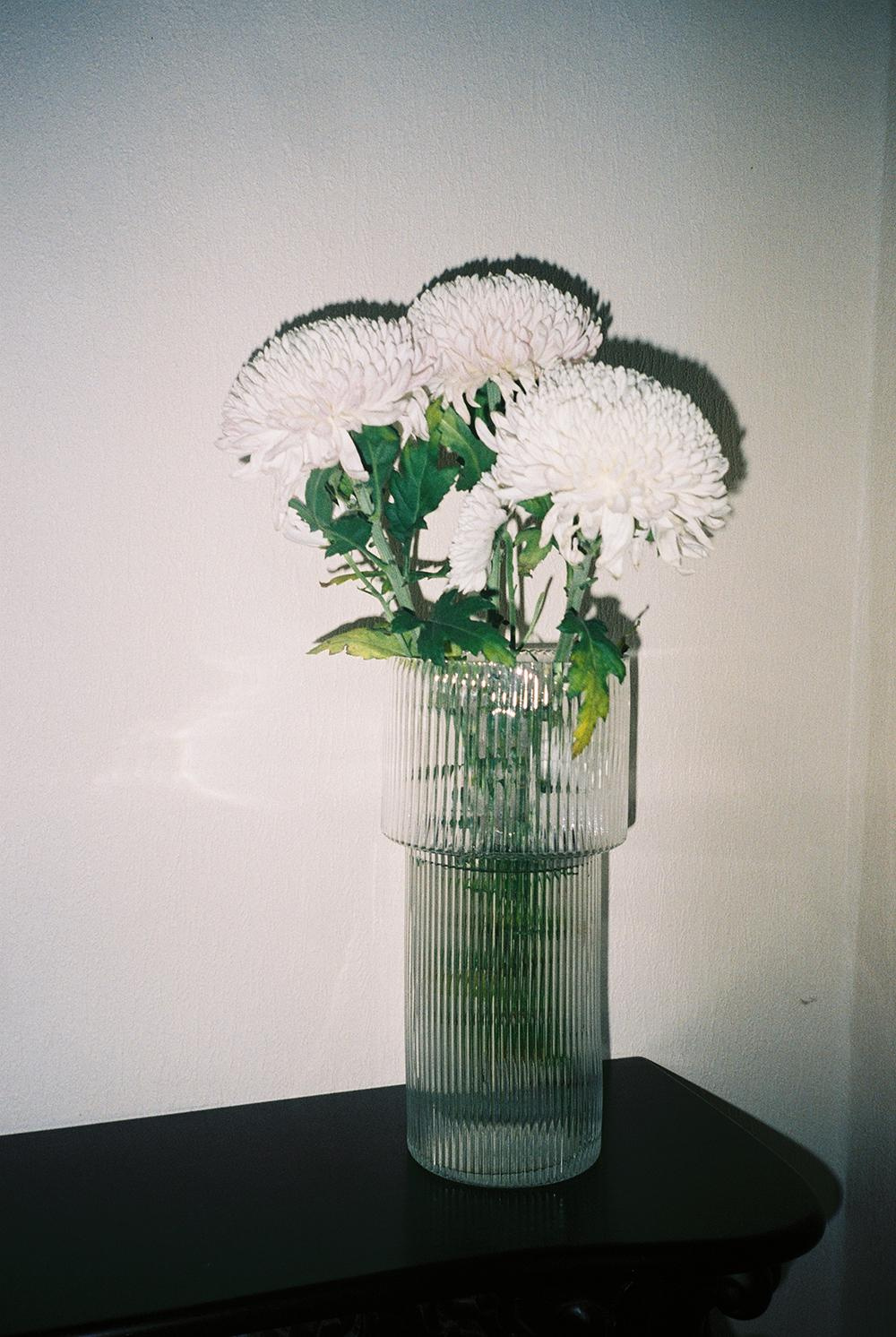 RANDOM. Nik Paustovskiy photography