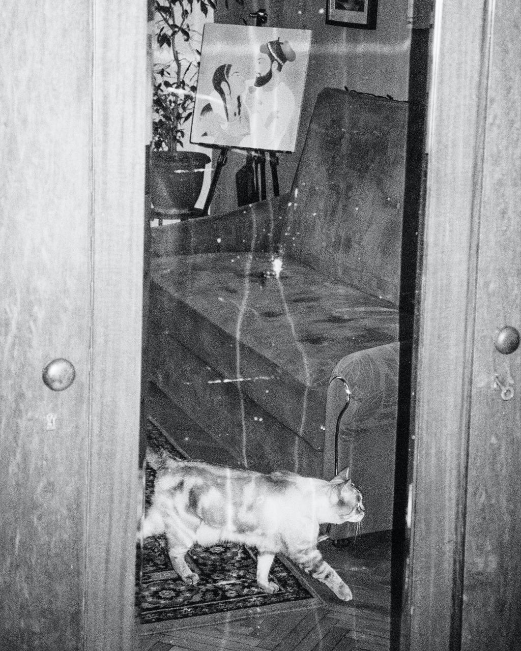 RANDOM. Nik Paustovskiy photography