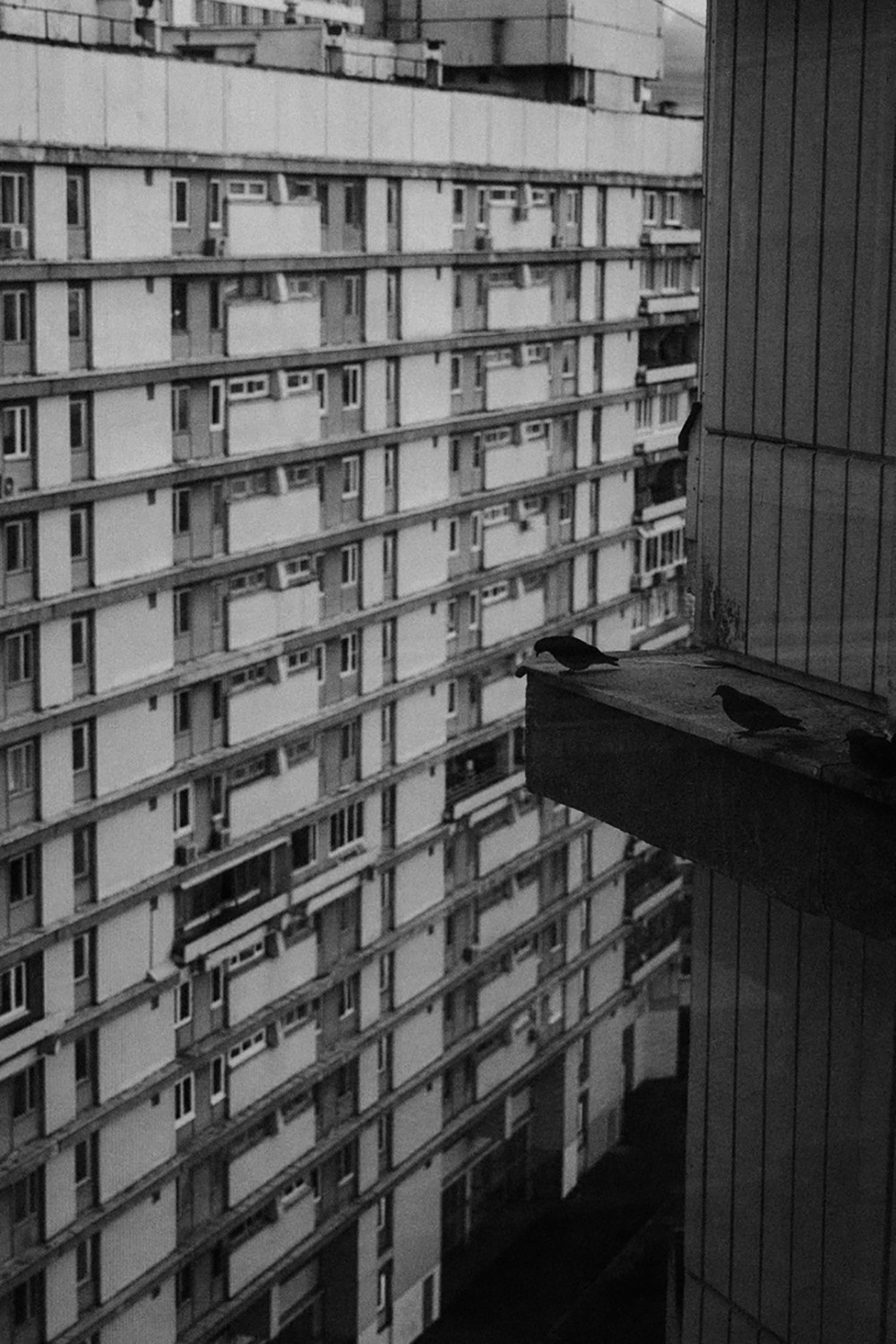 RANDOM. Nik Paustovskiy photography