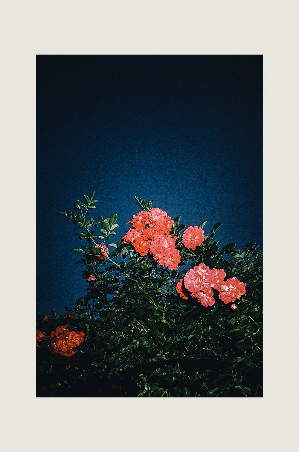 RANDOM. Nik Paustovskiy photography