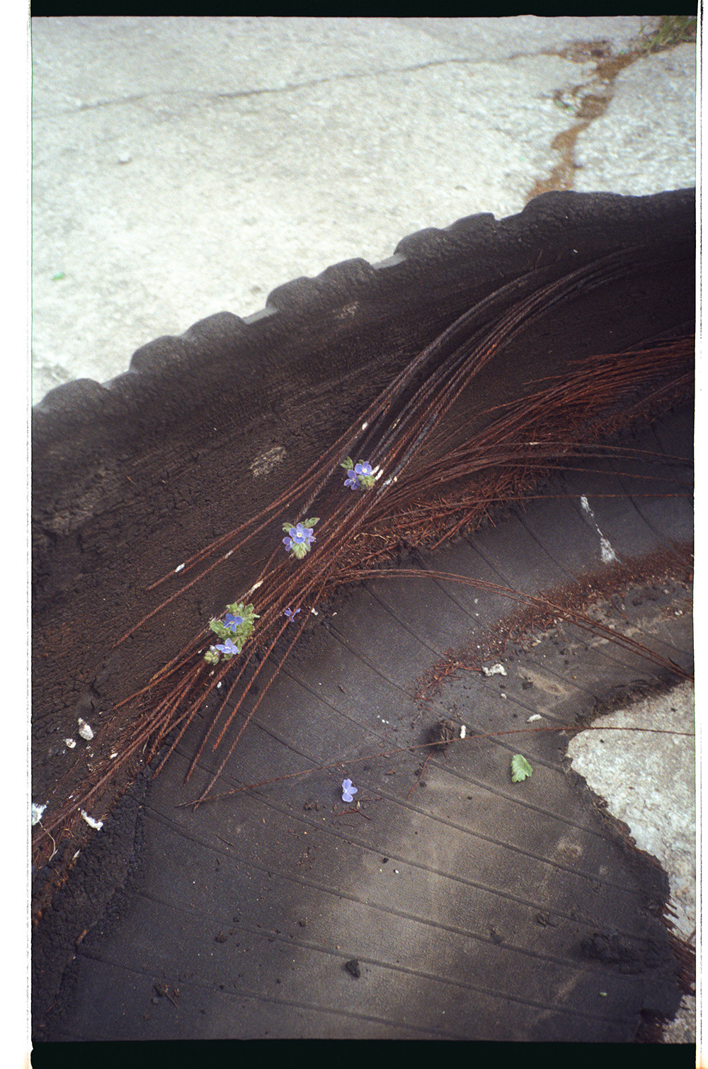 STILL LIFE' series. Nik Paustovskiy photography