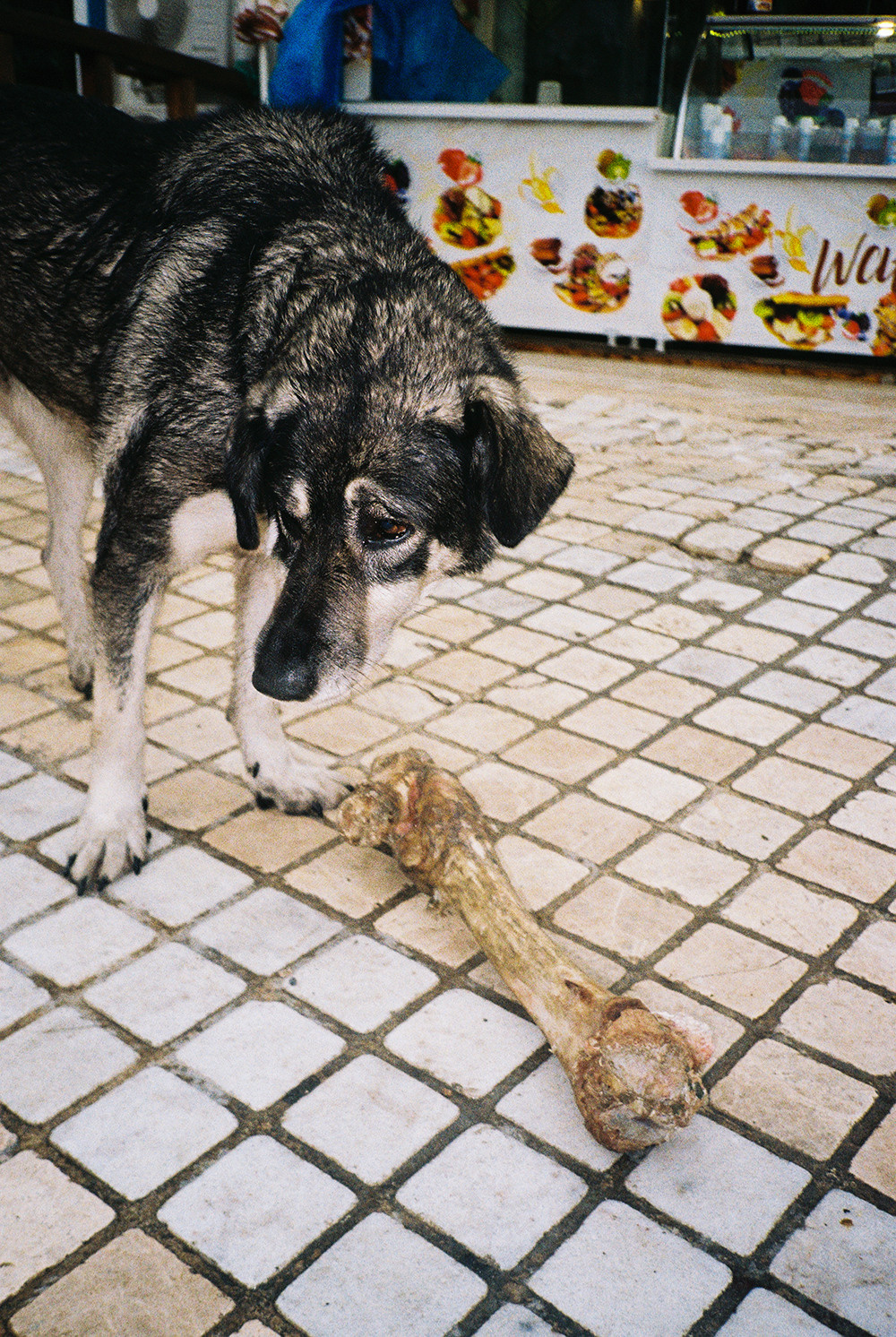 RANDOM. Nik Paustovskiy photography