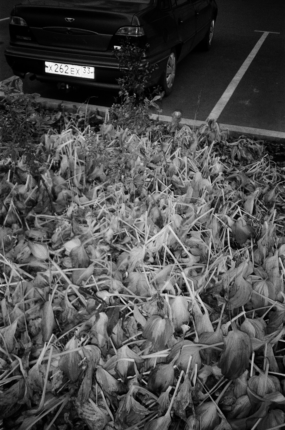 RANDOM. Nik Paustovskiy photography