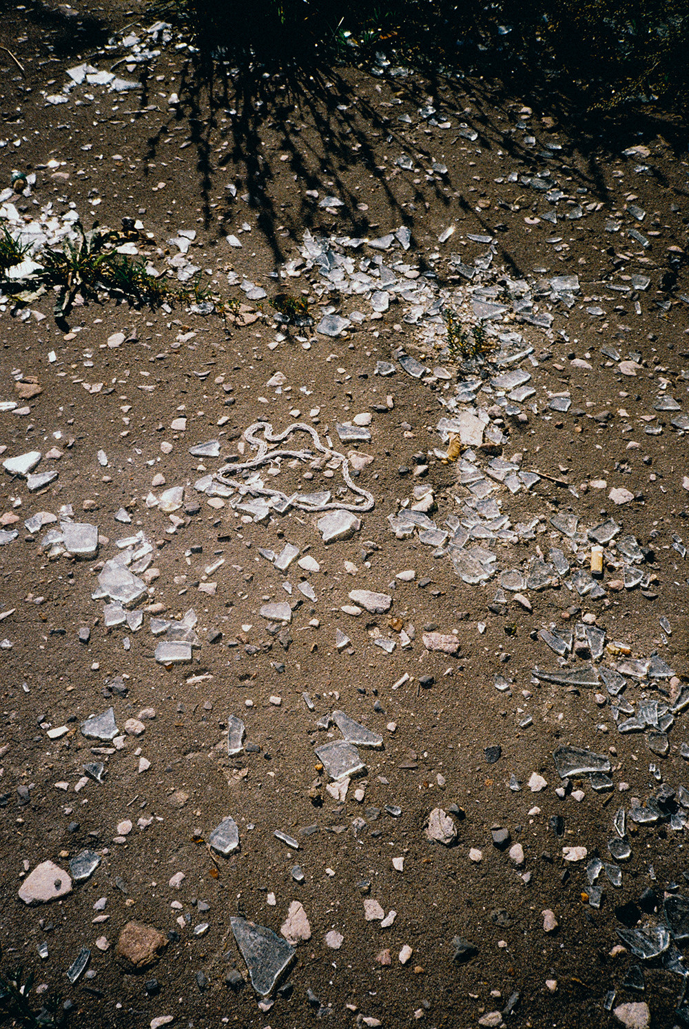 RANDOM. Nik Paustovskiy photography