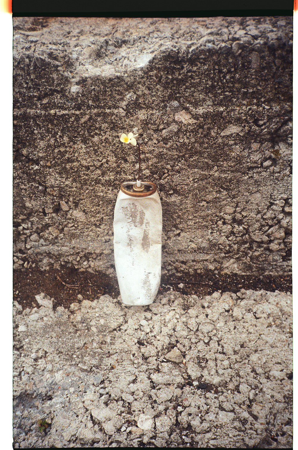 STILL LIFE' series. Nik Paustovskiy photography