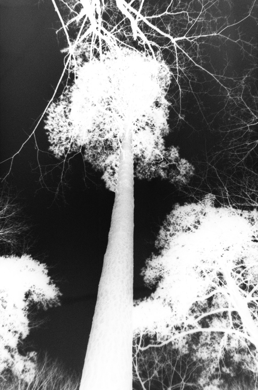 'INVERTED CITY'. Nik Paustovskiy photography