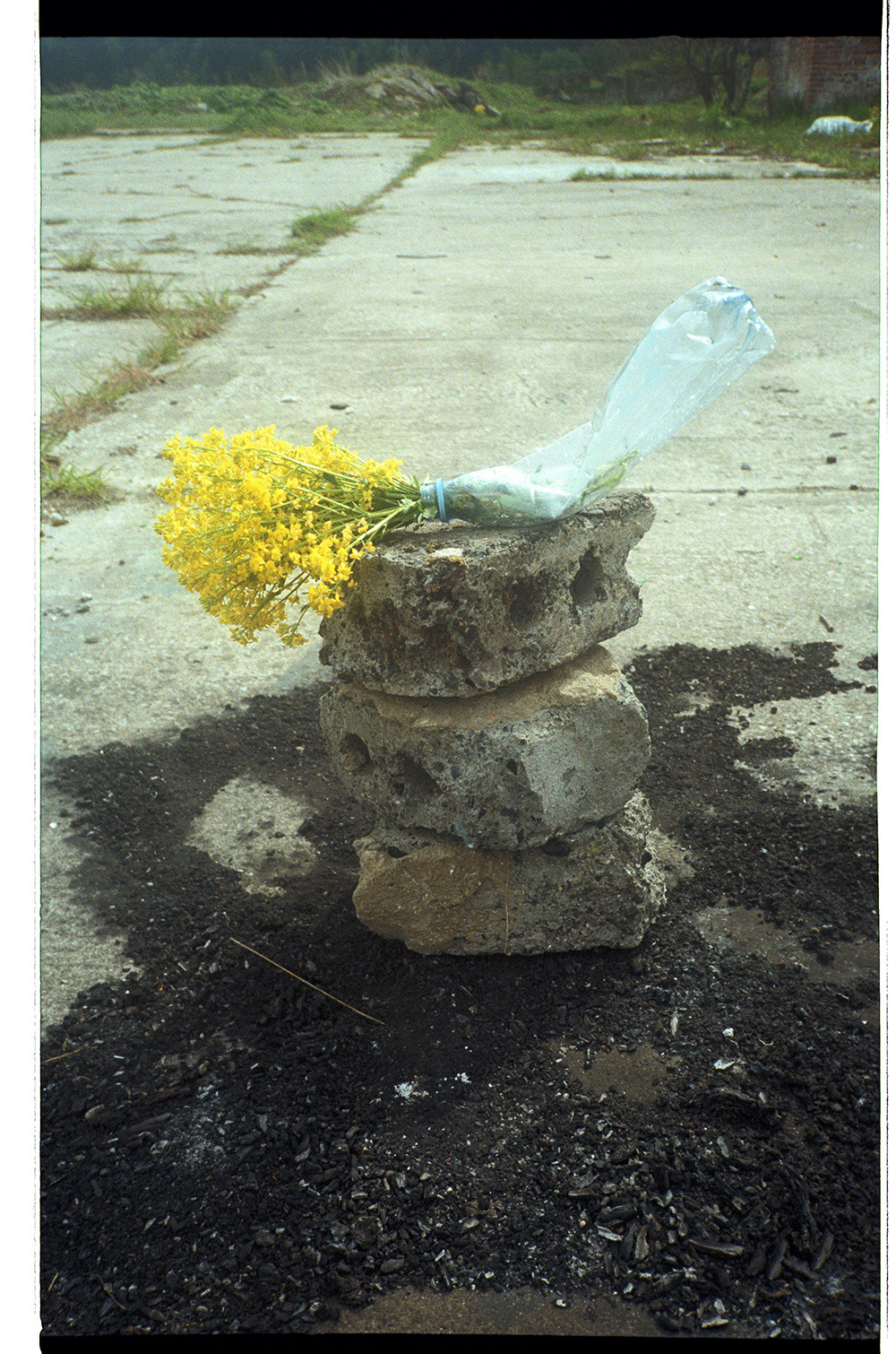 STILL LIFE' series. Nik Paustovskiy photography