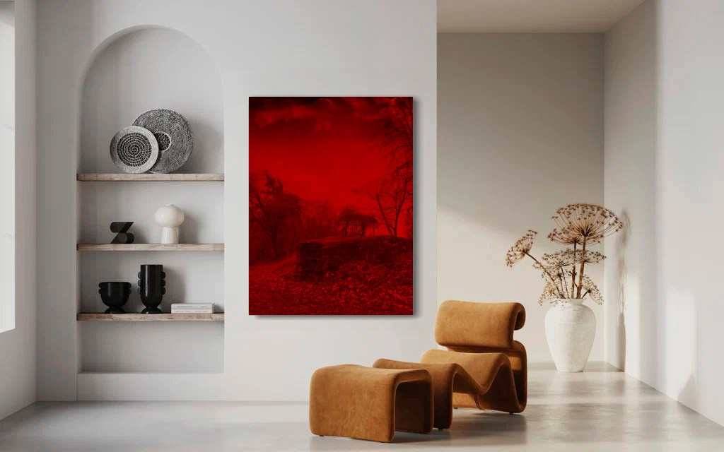 DISTURBING BEAUTY. Evgeniia Mikheeva — International visual artist