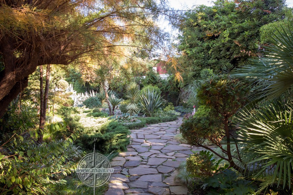 КРАСИВЫЕ МЕСТА В СОЧИ. Свадебный и семейный фотограф/видеограф в Краснодаре Наталья Осинская