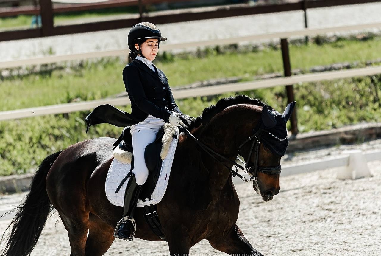 Чемпионат и Первенство Московской области по ВЫЕЗДКЕ, КСК «Эквиторус». Конный фотограф Куракина Дарья • Фотосессии с лошадьми