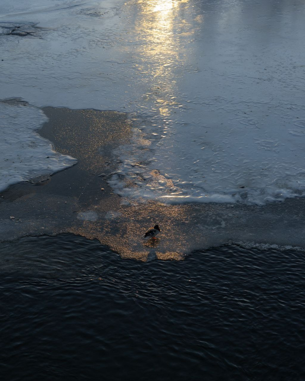 Облачный поток. Мастерская Демченко