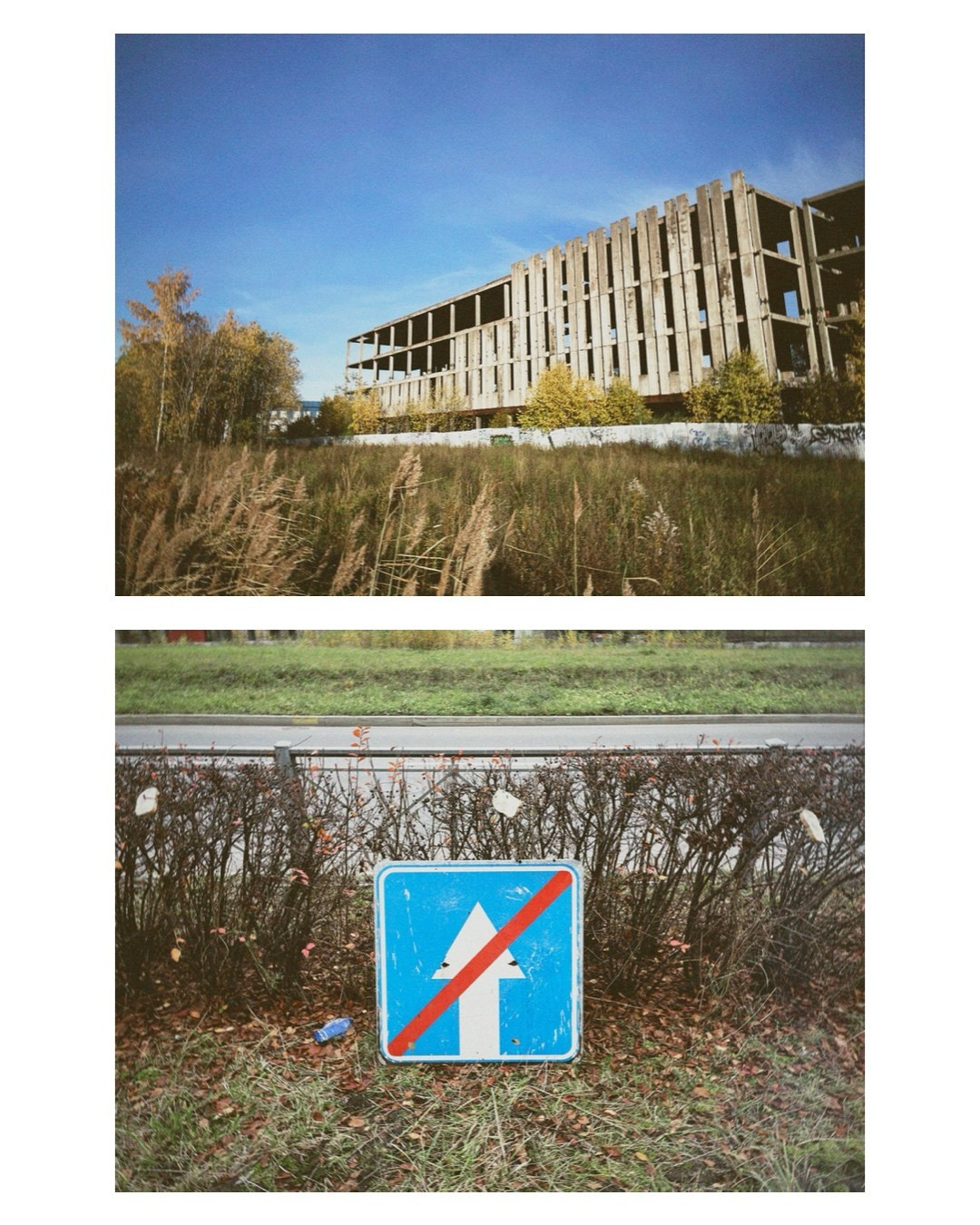 Saint-Petersburg. Alina Panover