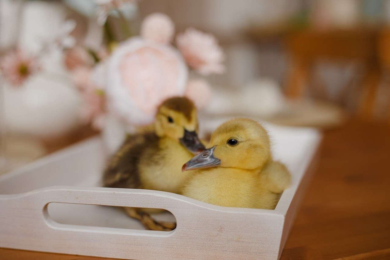 Отзывы. Свадебный фотограф Санкт-Петербург  Москва