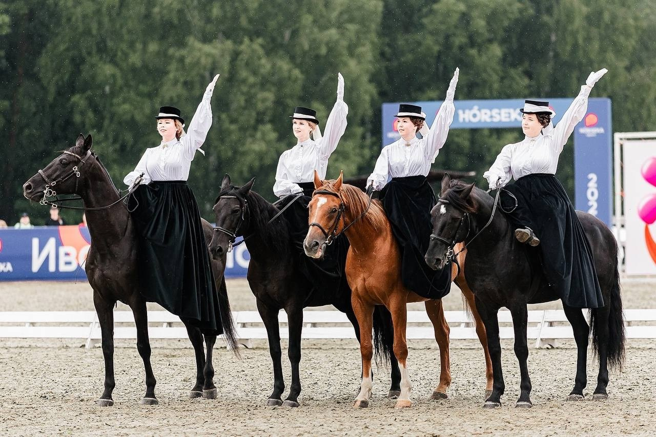 ИВАНОВО ПОЛЕ — 2024. Конный фотограф Куракина Дарья • Фотосессии с лошадьми