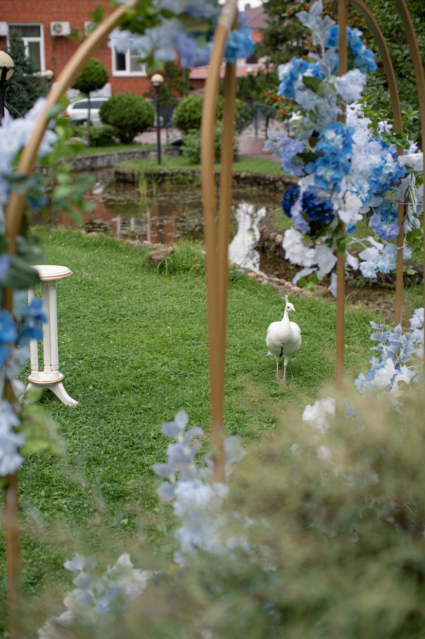 Площадка № 2-5. Свадебный организатор Москва