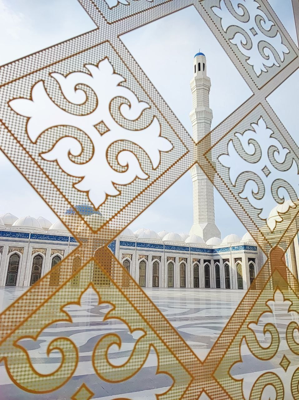 Намобилкус казахский. Репортажный фотограф Алексей Пирязев