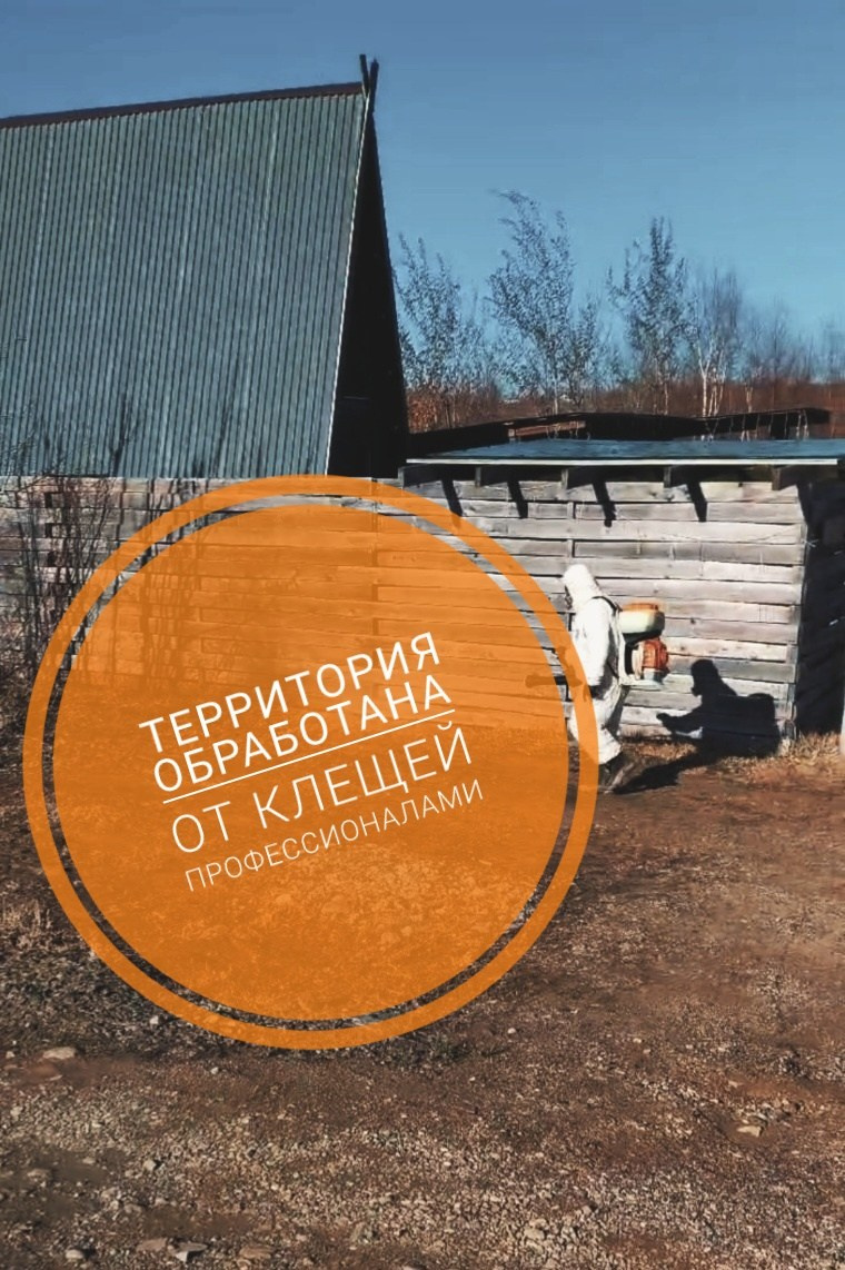 Геокупол фото. Вгости. Посуточная аренда дома во Владивостоке, баня с чаном. Теплый бассейн, геокупол. Аренда дома во Владивостоке, Надеждинском районе