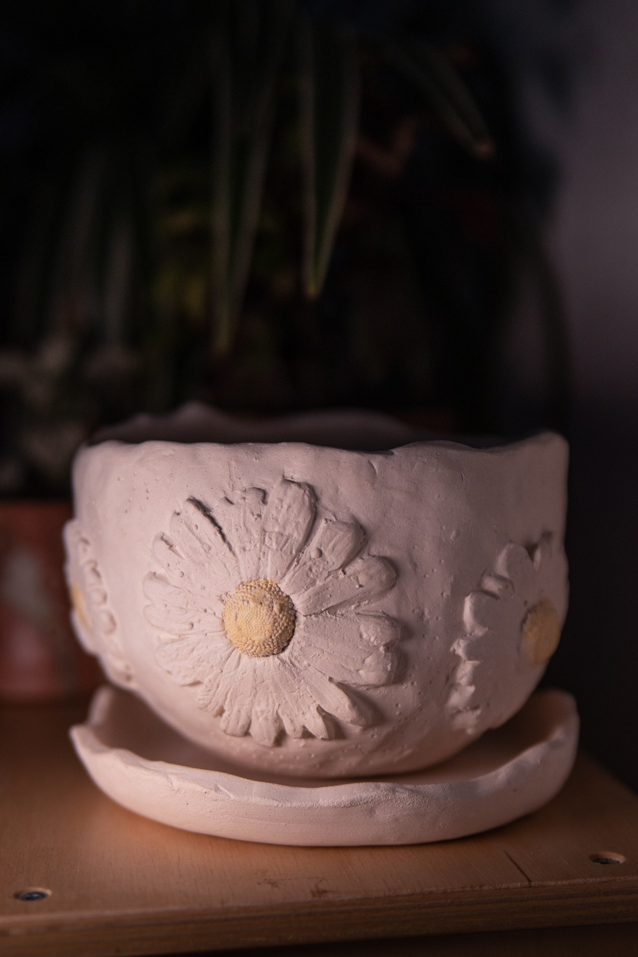 Горшок «Ромашки» 2000 р. Катя Цвет