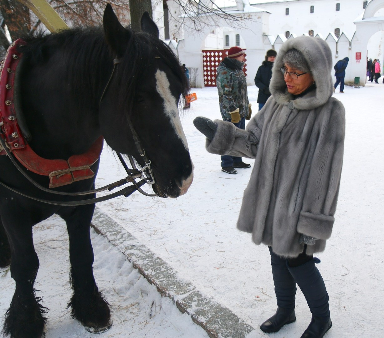Улица, люди, жизнь…