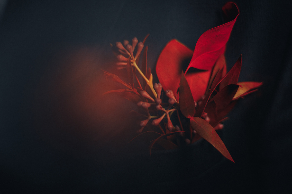 Свадебная фотосессия в лесу. Светлана Иванова - профессиональный фотограф