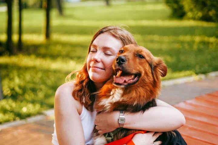 Уже дома. Забери домой друга