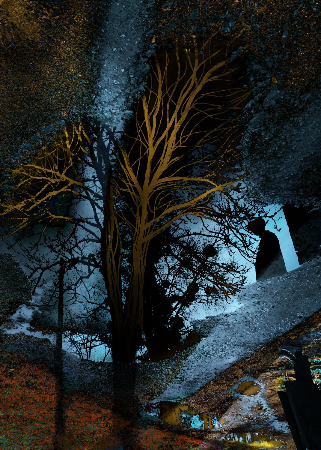 Проект «Территория». Арт-фотограф Виктория Забродина