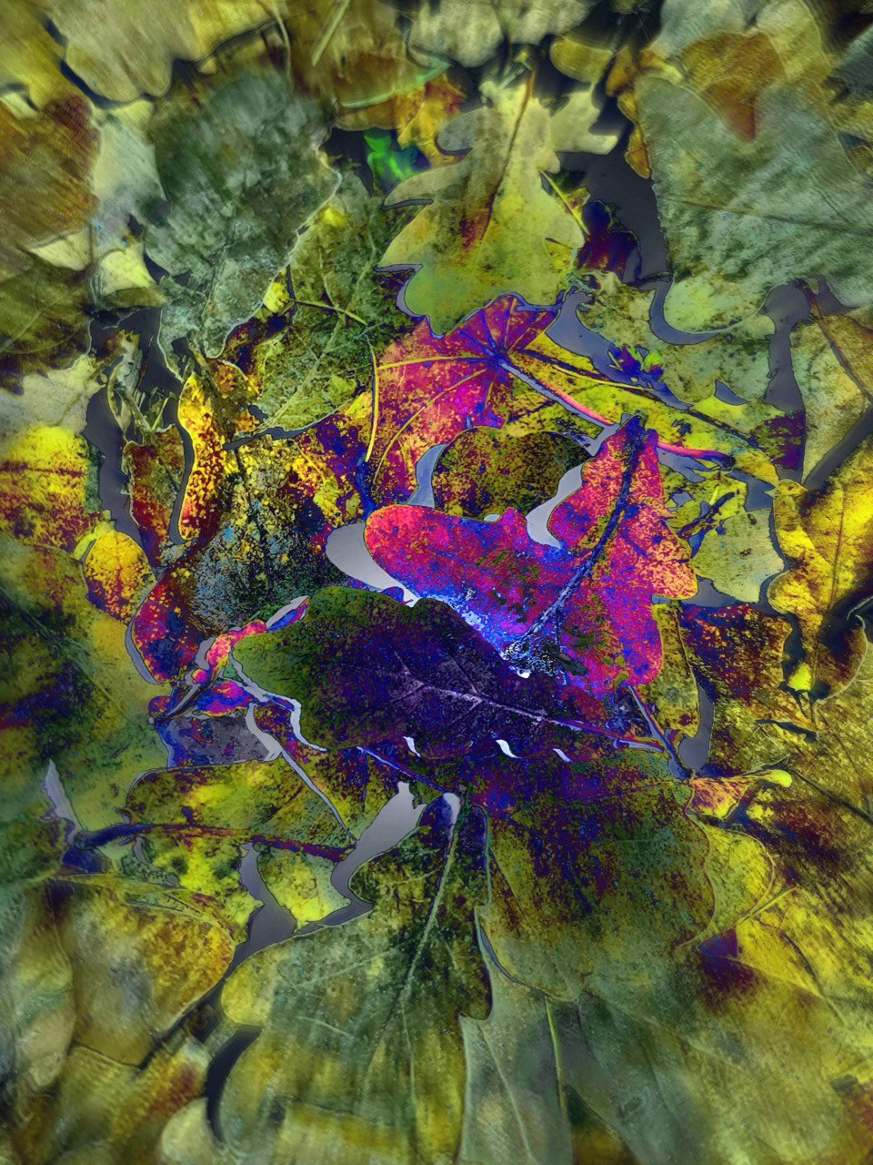 NEON LIGHT. VISUAL ARTIST