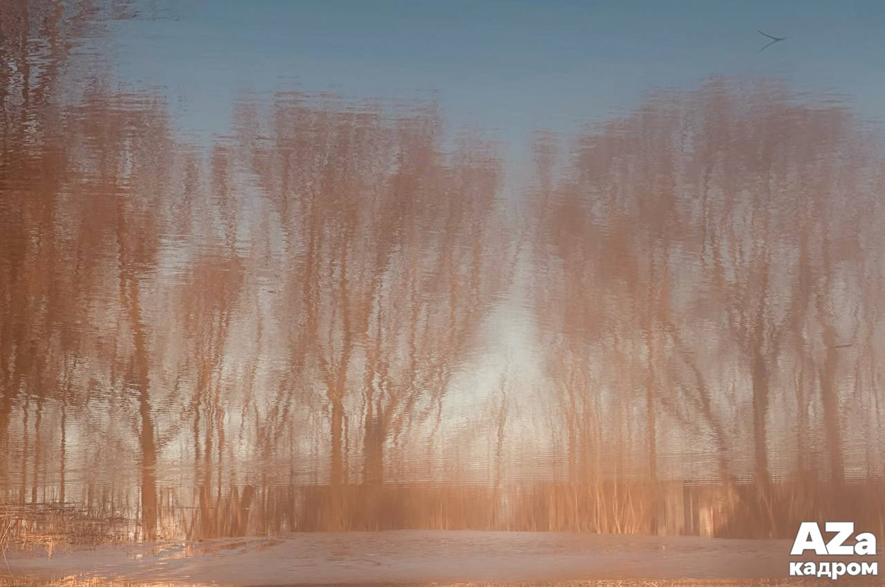 AZакадром Импрессинизм. Женский семейный фотограф Тула Москва Захарова Анна