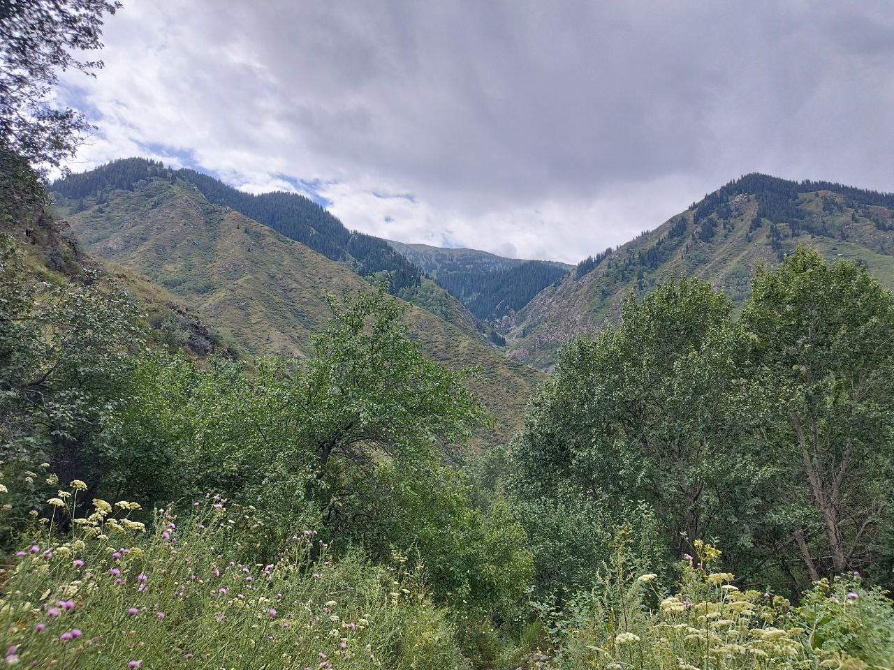 Экскурсия и тур на Плато Ассы, водопад Медвежий и озеро Иссык из Алматы