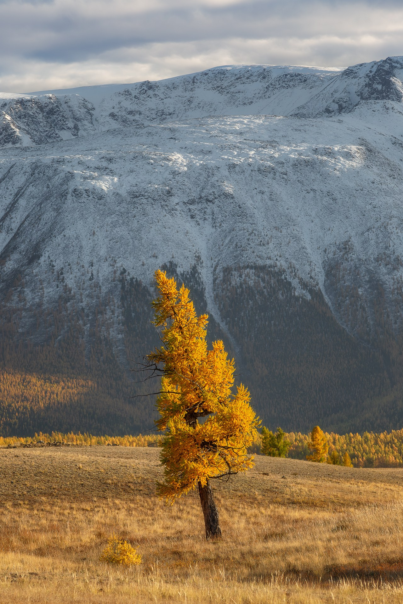 АЛТАЙ. Фототуры и обучение пейзажной фотографии