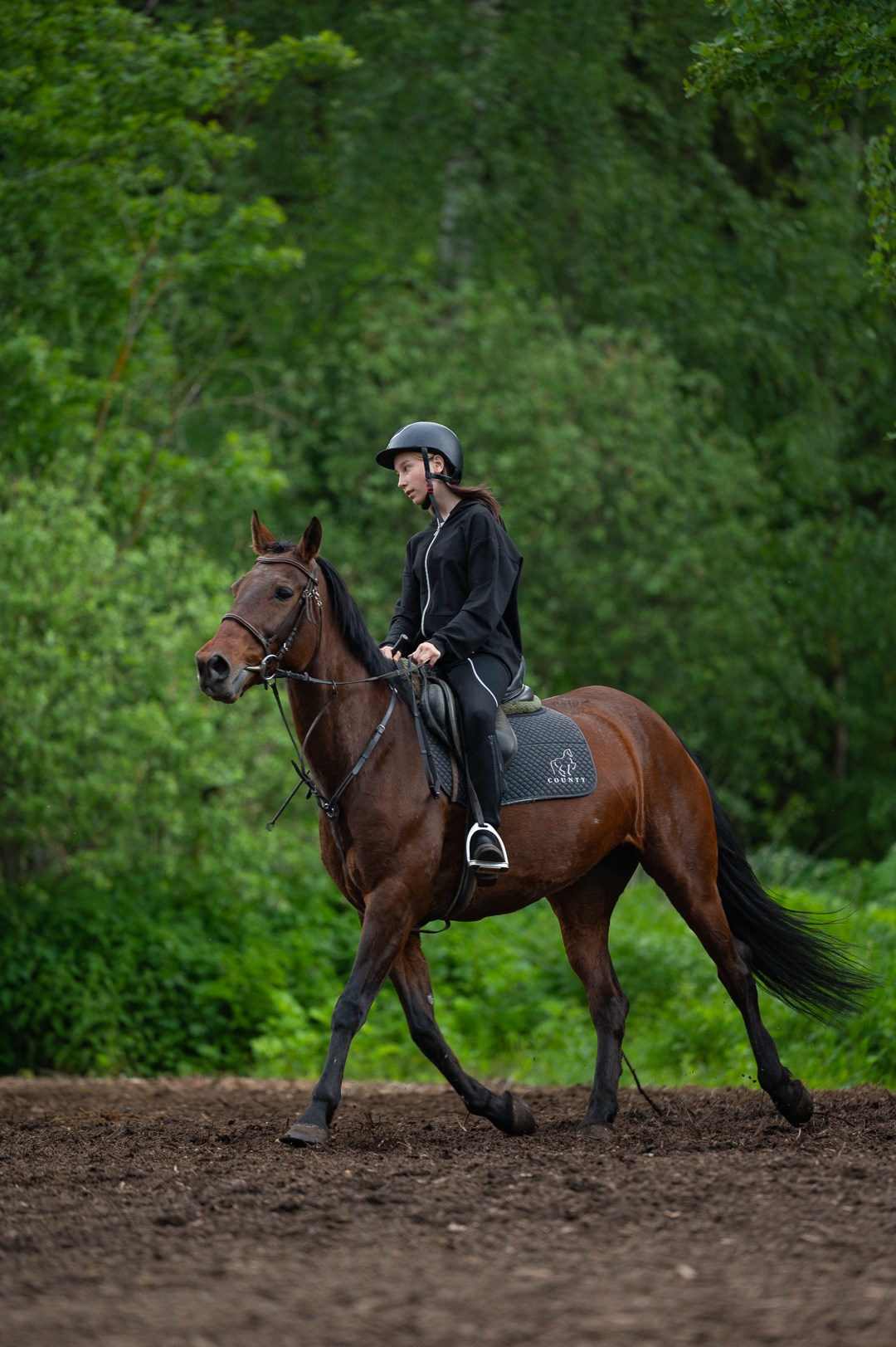 Конюшня. Мир живой фотографии о Вас и для Вас