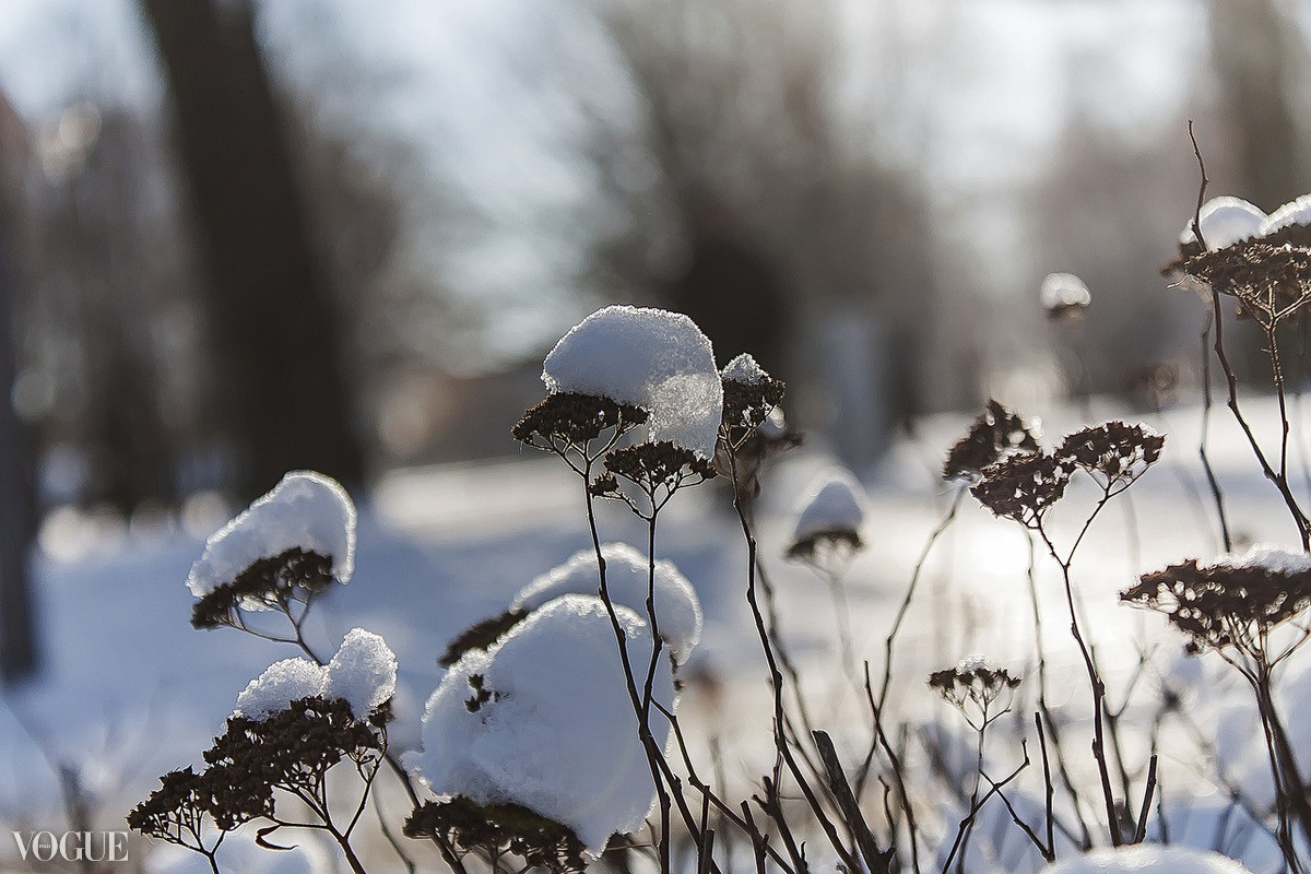 Photovogue. Tatyana Mazok creative photographer in Minsk