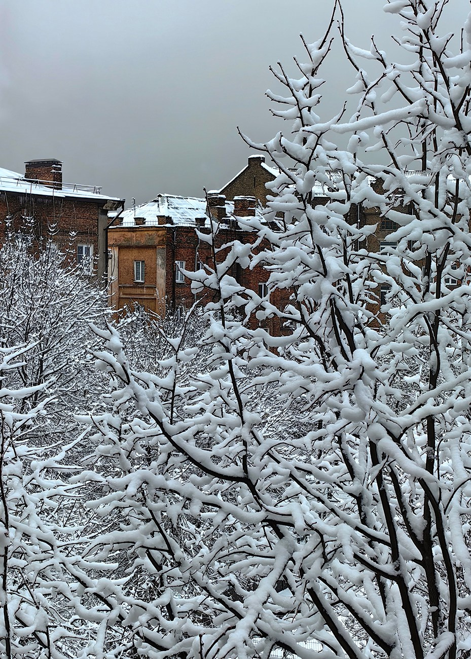 Мобильная фотография. Фотография — это воспоминания…