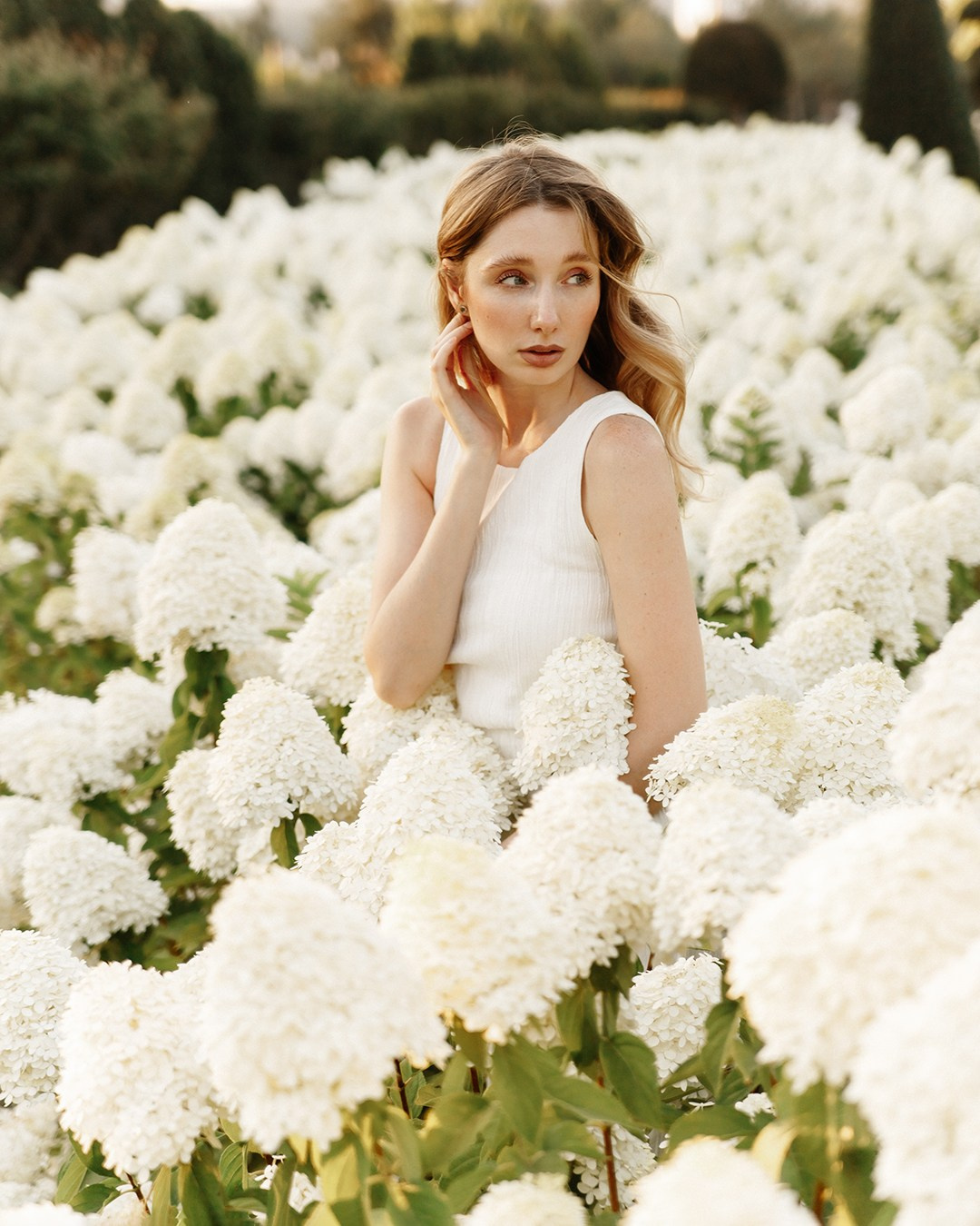 Катя и гортензии. Свадебный фотограф Краснодар Марина Зверева