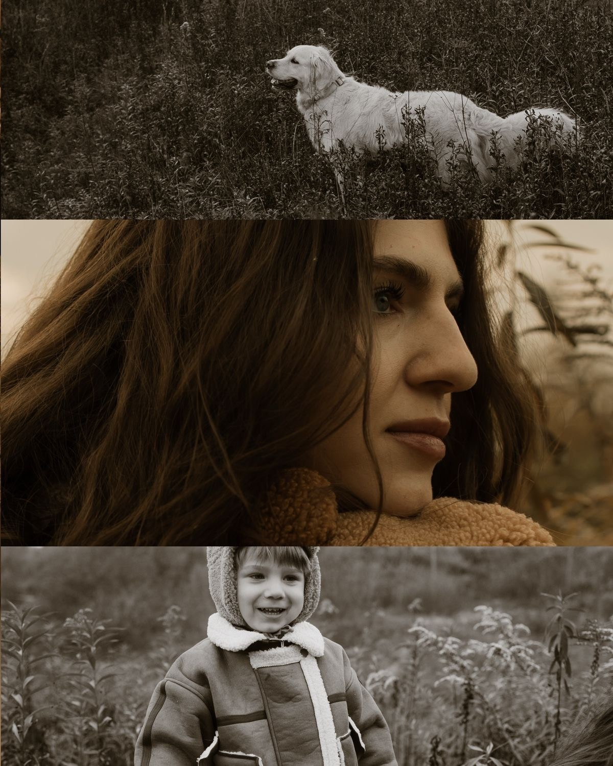 Семейные фотосесии 2025