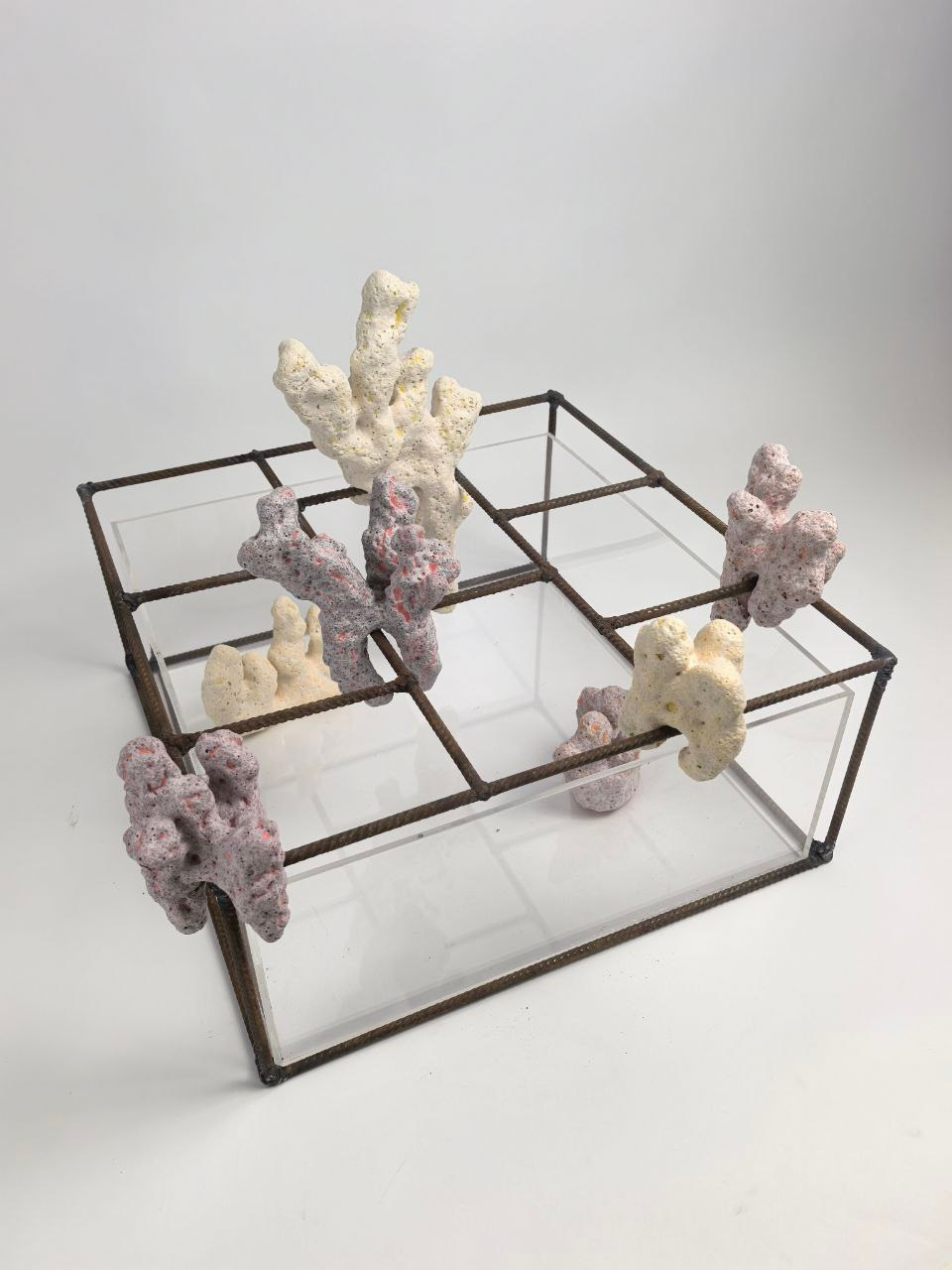 Биоморфные объекты. Художник-керамист Екатерина Ельникова