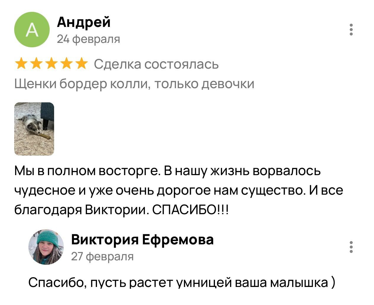 Фритсвит. Семейный фотограф Ефремова Виктория