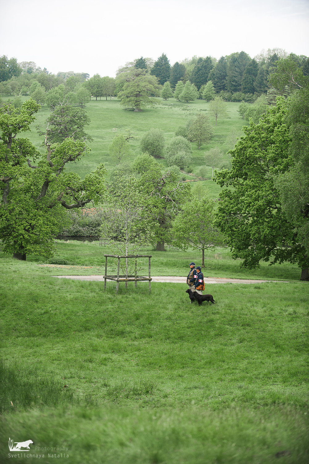 Skinner's 2018. Фотограф-анималист Наталья Светличная