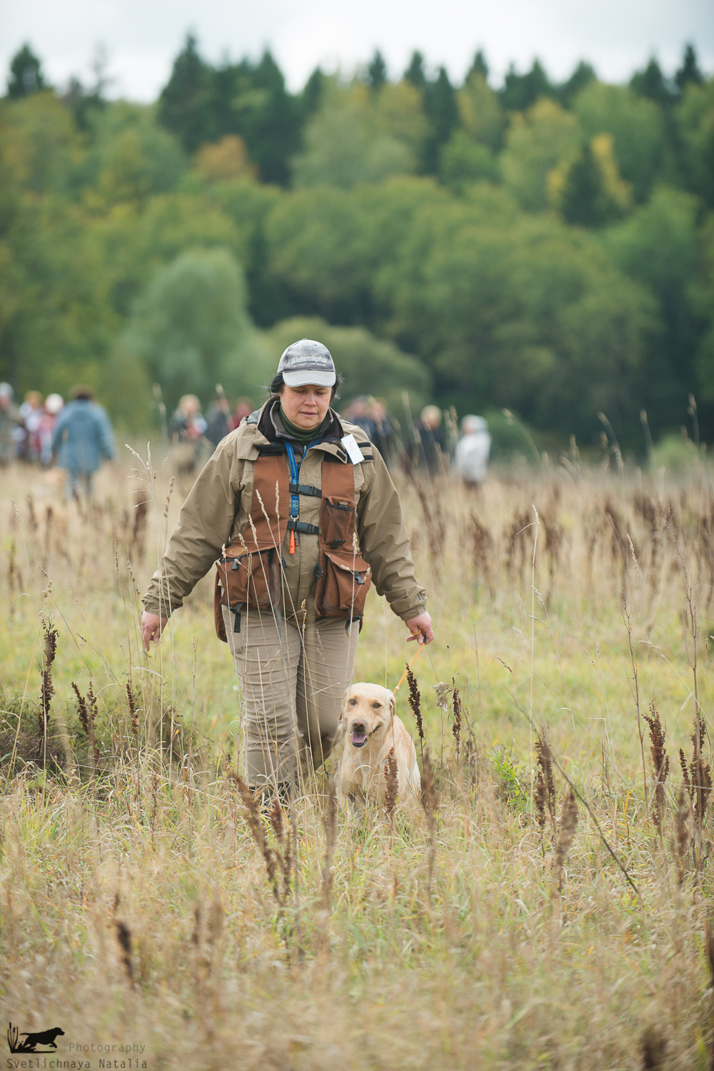 Field trial, 2018. Фотограф-анималист Наталья Светличная