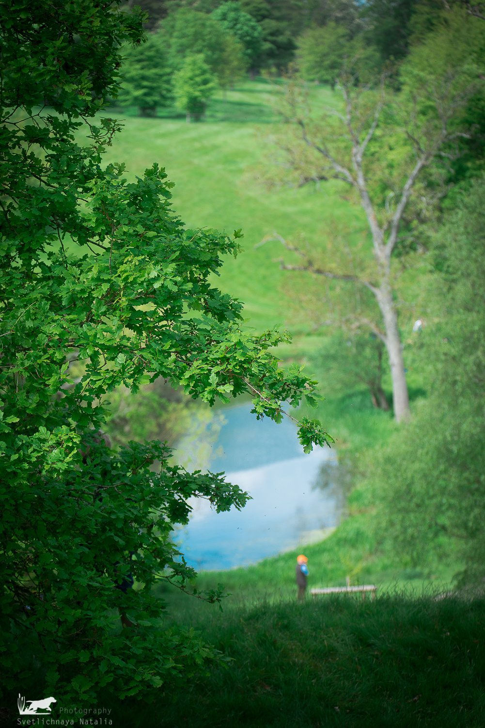 Skinner's 2018. Фотограф-анималист Наталья Светличная