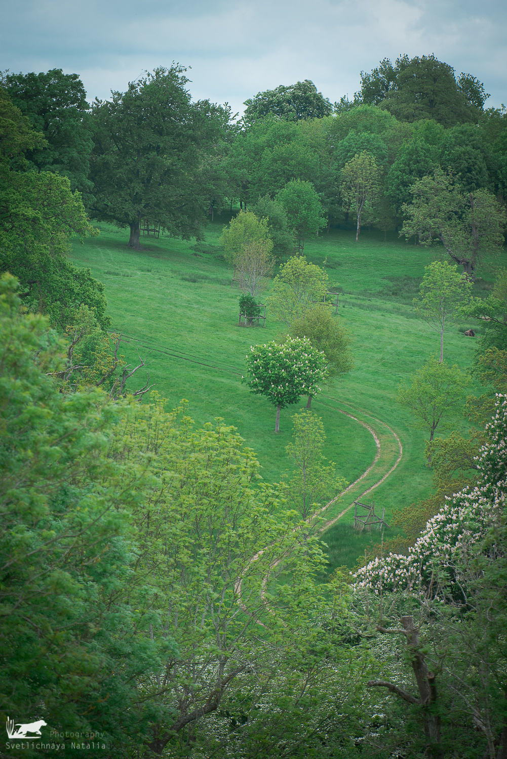 Skinner's 2018. Фотограф-анималист Наталья Светличная